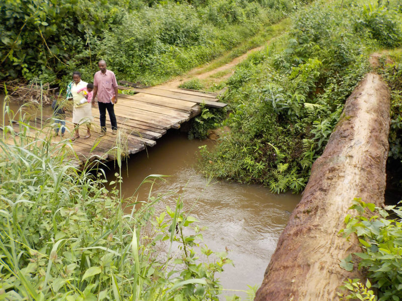 Mabobol Bridge - Afrique Future - Association humanitaire pour le Cameroun